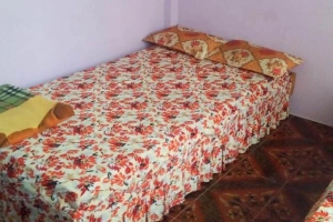 Tao Ngộ Guest House