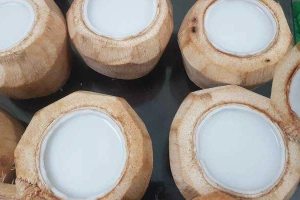 Thạch Dừa 39 - Shop Online