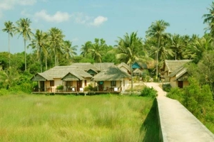 Thái Tân Tiến Resort