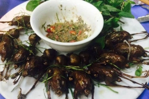 Quán Ăn Thanh Tuấn - Đặc Sản Vùng Miền