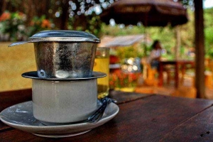 Thảo Mộc Cafe - Đoàn Thị Điểm