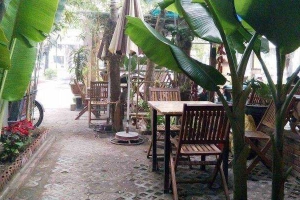 Thảo Mộc Cafe - Đường Số 9A
