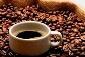 Thảo Mộc Coffee - Đường Số 12