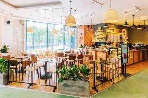 The Coffee House - Hoàng Đạo Thúy