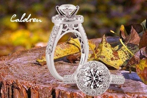 Thế Giới Kim Cương - Co.opmart Đinh Tiên Hoàng