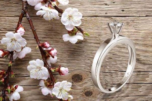 Thế Giới Kim Cương - Vincom Lê Văn Việt