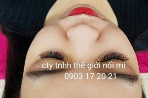 Thế Giới Nối Mi - Hoàng Hoa Thám