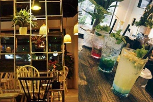 The Loop - Coffee & Tea
