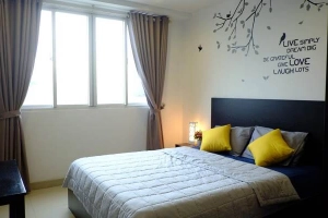 The Nguyens Apartments