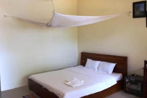 The Palm Tree Guest House