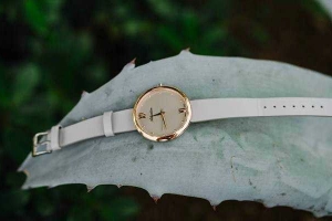Thegioithoigian.vn - Parkson Cantavil