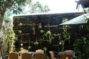 Thềm Xưa Cafe - Không Gian Sân Vườn Lãng Mạn
