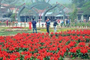 Thiên Đường Hoa Quảng La