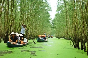 Thiên Niên Kỷ Travel