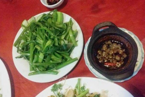 Thiên Phúc Khang - Nhà Hàng Sân Vườn