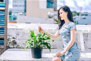 Thời Trang Đan Châu - Nguyễn Trãi