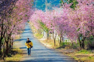 Thung Lũng Đào Hoa Mười Lời