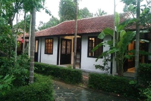 Thuy Bieu Homestay