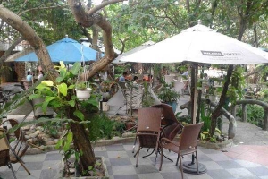 Thúy Cát Cafe