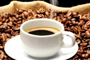 Thủy Trúc Cafe - Phú Riềng Đỏ