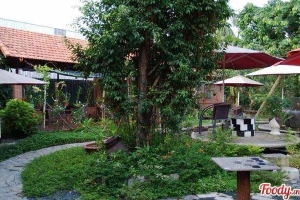 Thủy Tùng - Cafe Nhà Sàn