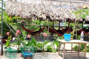 Tỉ Muội - Cafe Sân Vườn