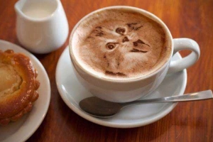 Ti Ti Cafe