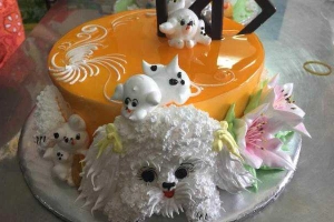 Tiệm Bánh Bánh Kem Nguyễn Bình