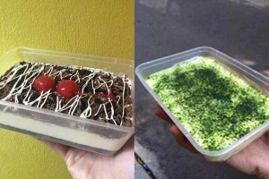 Tiệm Bánh Min Ti - Shop Online