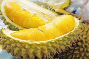 Tiệm Bánh Bánh Trung Thu Nhân Sầu Riêng Musangking