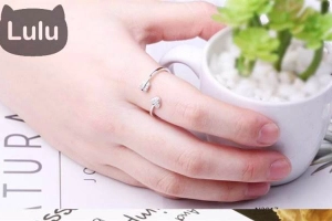 Tiệm Nhỏ Của Lulu
