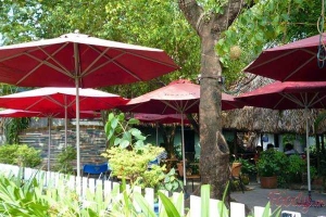 Tiếng Thu Cafe