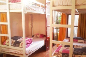 Tiny Tigers Hostel