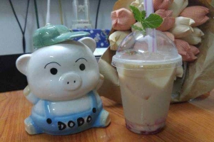 Trà Sữa Thảo Mộc Singapore - Shop Online