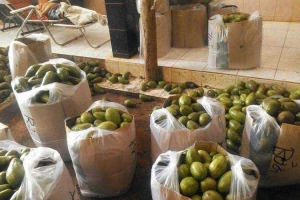Trái Cây Miền Tây - Shop Online - Cộng Hòa