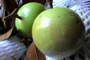 Trái Cây Sạch Miệt Vườn - Shop Online