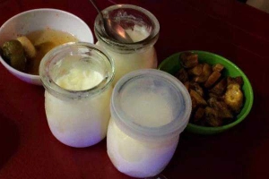 Trang Nhung - Sữa Chua & Đồ Ăn Vặt
