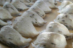 Trang - Tổ Yến Sỉ & Lẻ - Shop Online