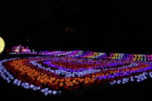 Triễn Lãm Đèn Led