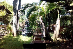 Trúc Lâm Viên - Cafe Sân Vườn - Đường Số 12