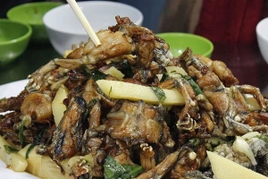 Quán Ăn Tuấn Ếch Quán - Ngọc Hồi