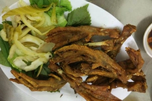 Tỷ Mập - Quán Ăn Gia Đình