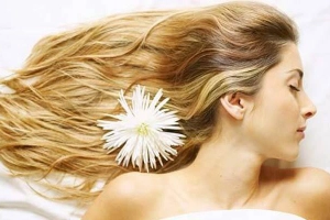 Ty Ty Chuyên Nghiệp Tóc - Thích Quảng Đức