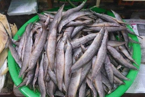 Út khô Cá - Đặc Sản Khô An Giang - Shop Online