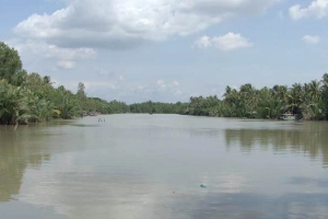 Vàm Đồn - Du Lịch Sinh Thái