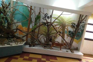 Viện Nghiên Cứu Khoa Học Tây Nguyên