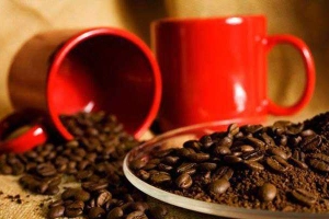 Việt Cafe - Đường 17 Tháng 8
