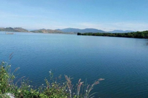 Viet Promotion Travel