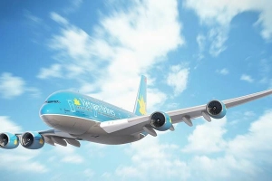 VietTin Travel - Sư Vạn Hạnh