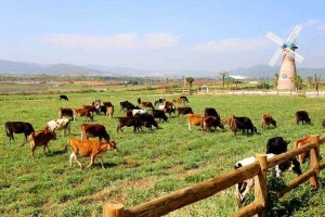 Vinamilk Organic Farm Đà Lạt